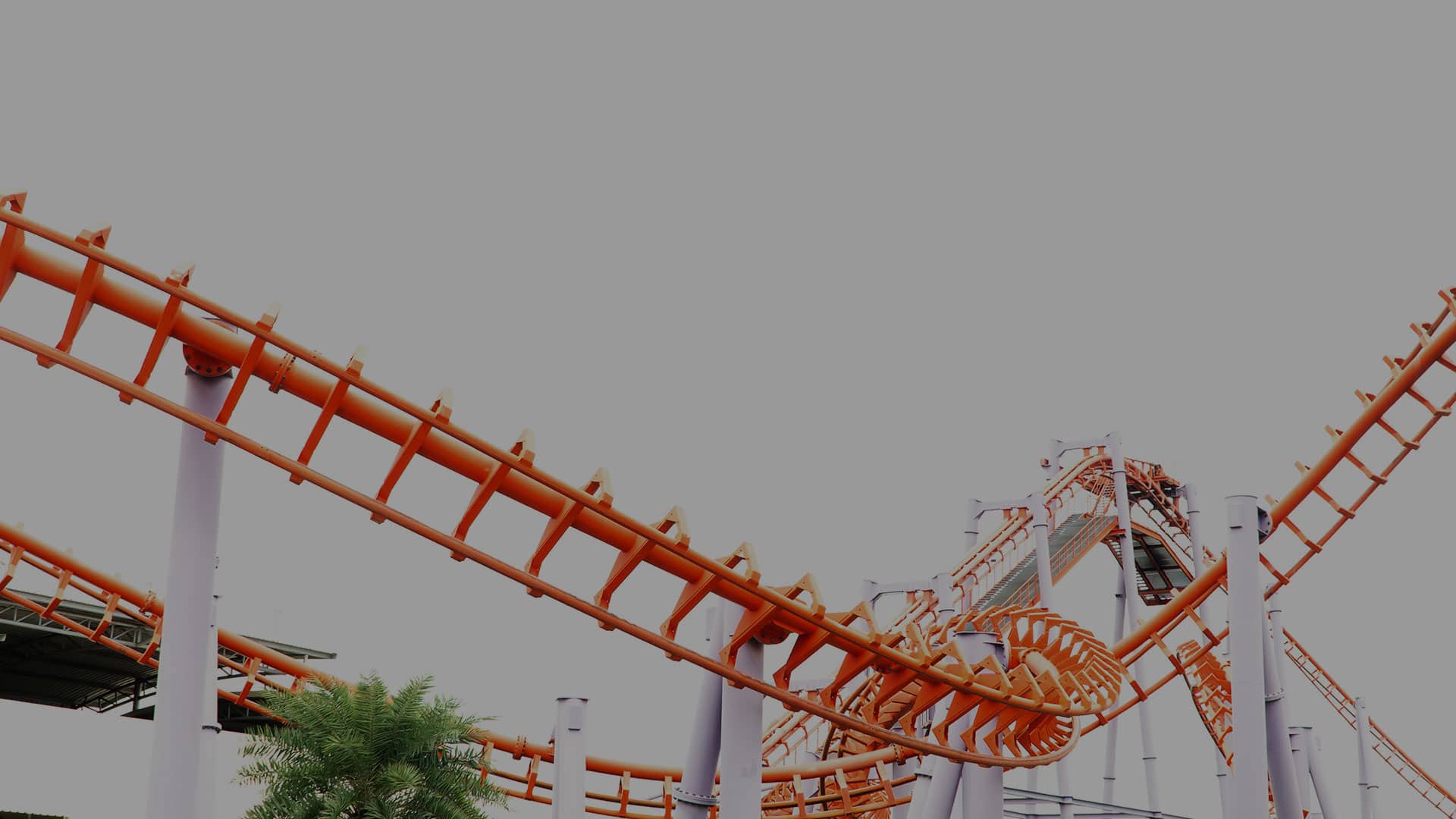 The Job Search Roller Coaster